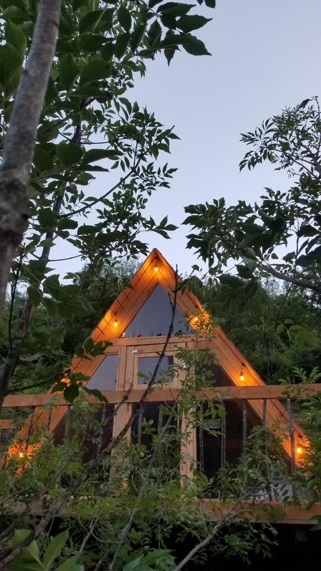 Guest house Twin Komani